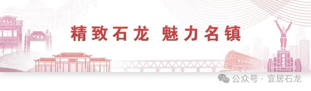 证券配资网 以党建引领凝聚防控合力！石龙筑牢蚊媒防控“红色屏障”